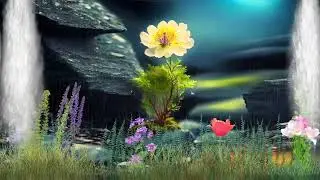 Waterfall Nature Background HD Stock Video  Free stock footage   No Copyright