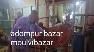 Adompur bazar moulvibazar British BD Vlogger 