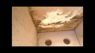 Dry Rot Repair On Fascia Board & Eve