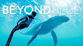 Beyond Blue | Story Teaser