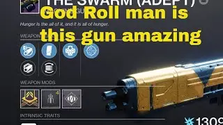 destiny 2 the swarm adept part 2 got the god roll i wanted it !!!!!!!!!!!!!