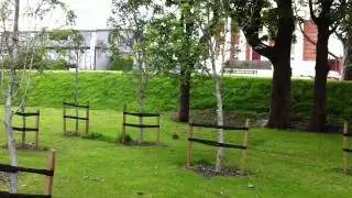 INVSOC World Vegan Day Tree, Wild Rabbit