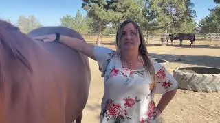 Equine Therapy at Idaho youth Ranch