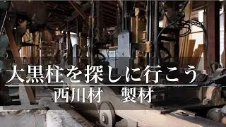 【家づくり】大黒柱を探しに行こう
