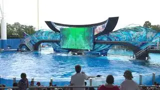 water splash dolphin stadium | real Experience