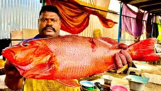 KASIMEDU SPEEDSELVAM BIG SIZE RED SNAPPER FISH CUTTING VIDEO #kasimeduselvam #fishcutting 