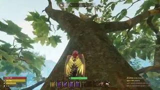 Smalland Tree Base