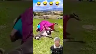 #funniest#failes#short#video#🤣😁
