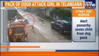 Telangana Minor Attacked by Stray Dogs  Locals Demand Action | News9