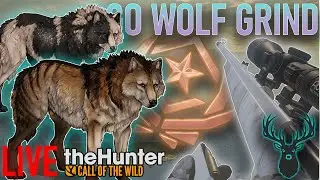 🔴 Starting GO Wolf Grind Number 2! | Fabled Hollow Prayge | theHunter Call of the wild | LIVE 🔴