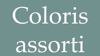 How to Pronounce ''Coloris assorti'' (A matching color) Correctly in French