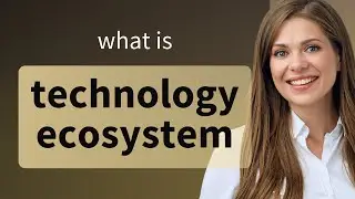 Understanding the Technology Ecosystem
