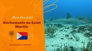 Nurkowanie - Saint Maarten - Wraki - Odc. 5