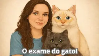O dia que o gato foi fazer exames de sangue!🙀😹#gato #examesdegato#gatosfalantes #cat