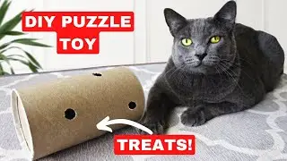 How to Make a Treat Puzzle Toy for your Cat