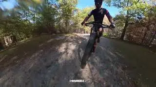 Mtb en el bosque verano 2025