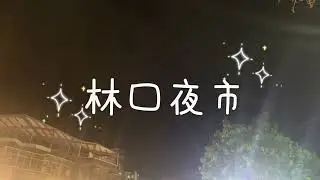 114 龍華科大四技觀光三A （林口夜市） 十三組