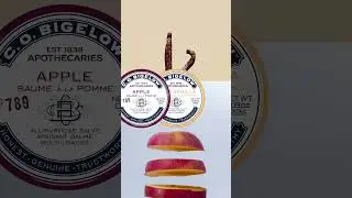 C.O. Bigelow New Salve Collection