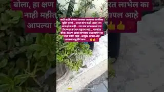 आयुष्य आपल्या पद्धतीने जगा #prernadayak #motivation #love #facts
