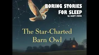 The Star-Charted Barn Owl | A Boring Sleep Story to Help You Drift Off | BORING SLEEP STORIES