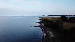 Live: Animated Denmark Vibes from Aarhus | Lo-Fi Relaxing Music 2025
