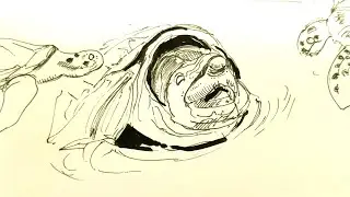 いろいろな亀を描く。
