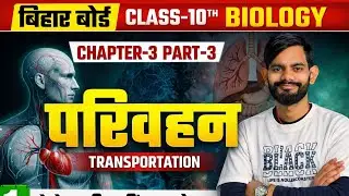 परिवहन (Transportation) | Class 10 Biology Chapter 3 Part 3 | Bihar Board Exam Special