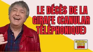 L'APPEL TROP CONS - LE D&Eacute;C&Egrave;S DE LA GIRAFE