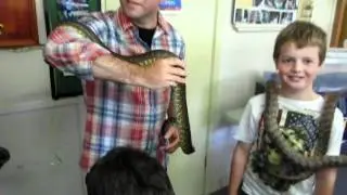 snake party