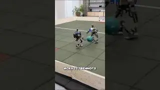 Роботов обучили в симуляции #амитеш #технологии