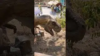 Dino Valley, Islamabad- Variety of Dinosaurs #dinovalleyislamabad #dinosaurs #travel #adventure
