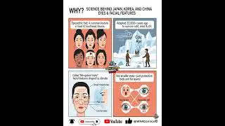 Why Do Asian Eyes Look Different? | The Science Behind East Asian Facial Features Explained