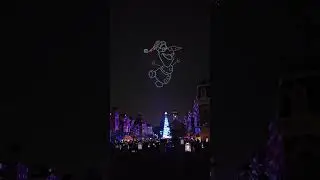 Tree Lighting at HK Disneyland