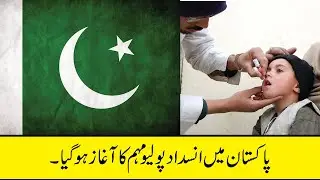 Polio Campaign Started in Pakistan | Polio Free Pakistan