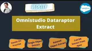 Omnistudio | Vlocity Data Raptor Extract