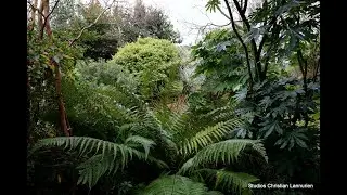 Jardins priv&eacute;s en Bretagne :   Sous l'orage , le vent et le soleil  4K UHD .17 D&eacute;cembre 2025 .