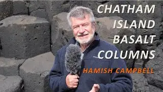 The Basalt Columns of Chatham Island