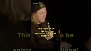 Emotional Support Cat?￼