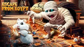 Hamster Maze Adventure: Lost Treasure of the Egypt Pyramid #2