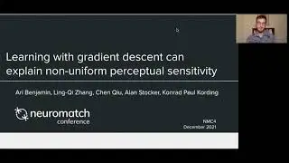 Learning with gradient descent can explain non-uniform perceptual sensitivity (NMC 4.0)