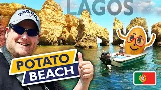 World's MOST STUNNING Sea Cliffs (Portugal Travel Vlog)