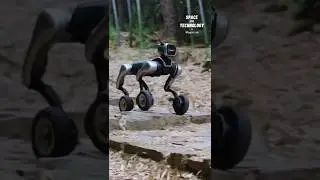 A Robot Built For Any Terrain