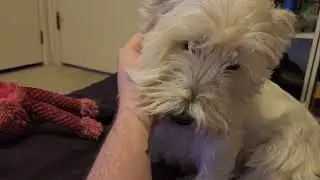 Hamish - Such a Sweet Boy Doesn't Deserve Such Hardships!