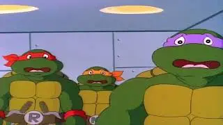 my pet turtle's toob