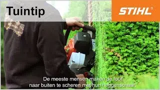 Haag recht snoeien met STIHL heggenschaar - Professionele tips