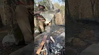 Softening a hide by hand #novembersouth #braintan #hunting #bowandarrow #selfbow #traditionalbow