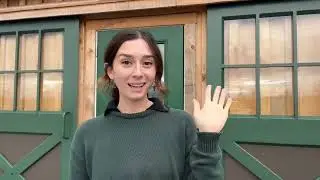 The Amish installed the most energy efficient doorway to my barn