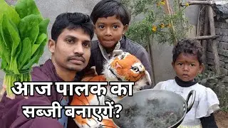 आज  सब्जी में पलक साग बनाएगें !! BS kumar vlog videos 🙏dally vlog video 