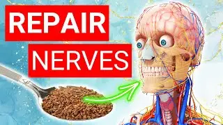 Top 4 Foods to Repair Your Nerves | Nerve Strengthening Foods