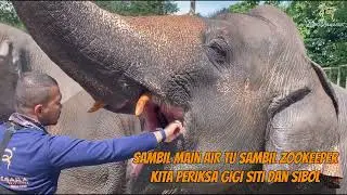(ENG SUB) PANDAINYA GAJAH GAJAH DI ZOO NEGARA! 😲